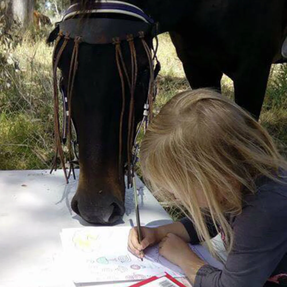 Horse helps with homework