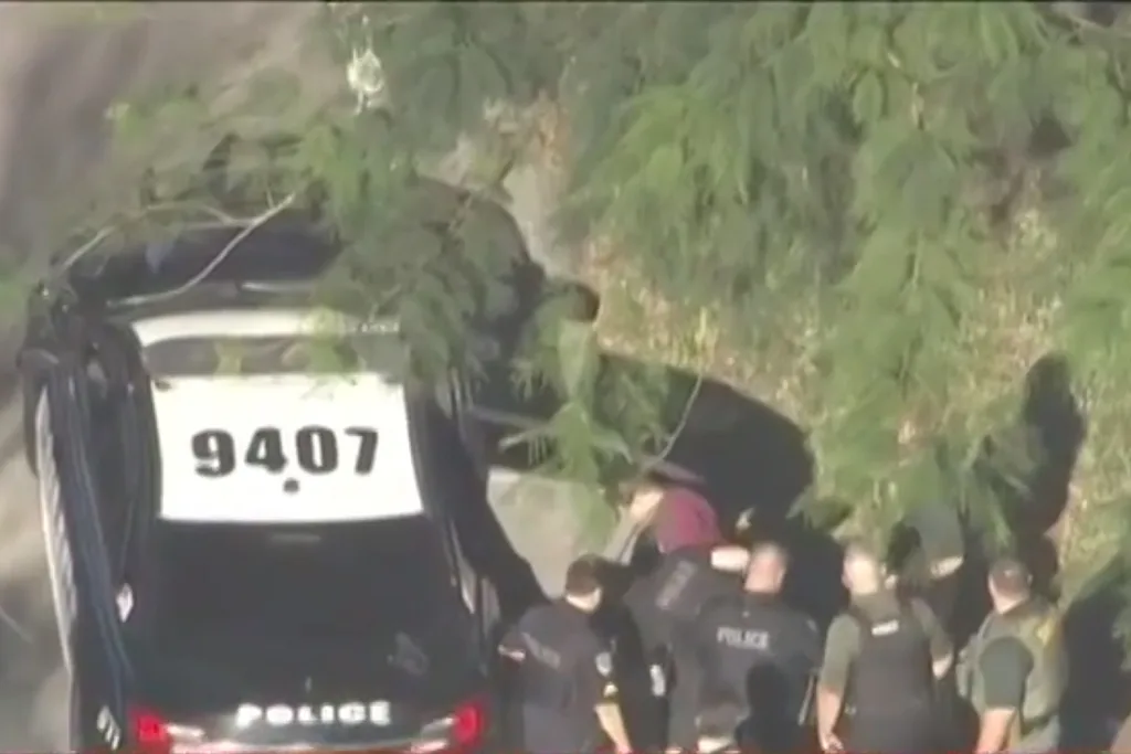Cruz being arrested