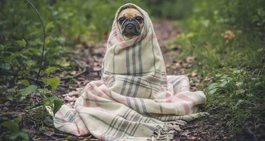 This blanket can help reduce anxiety and insomnia