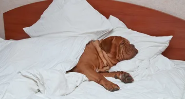The $3 hack to make your cheap sheets feel like expensive ones