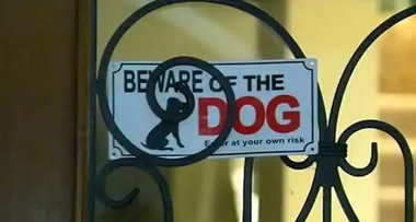 10-year-old-girl ‘tossed like a rag doll’ in savage dog attack
