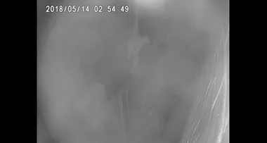 Chilling footage shows man climbing through family’s window before ‘indecently assaulting a girl’