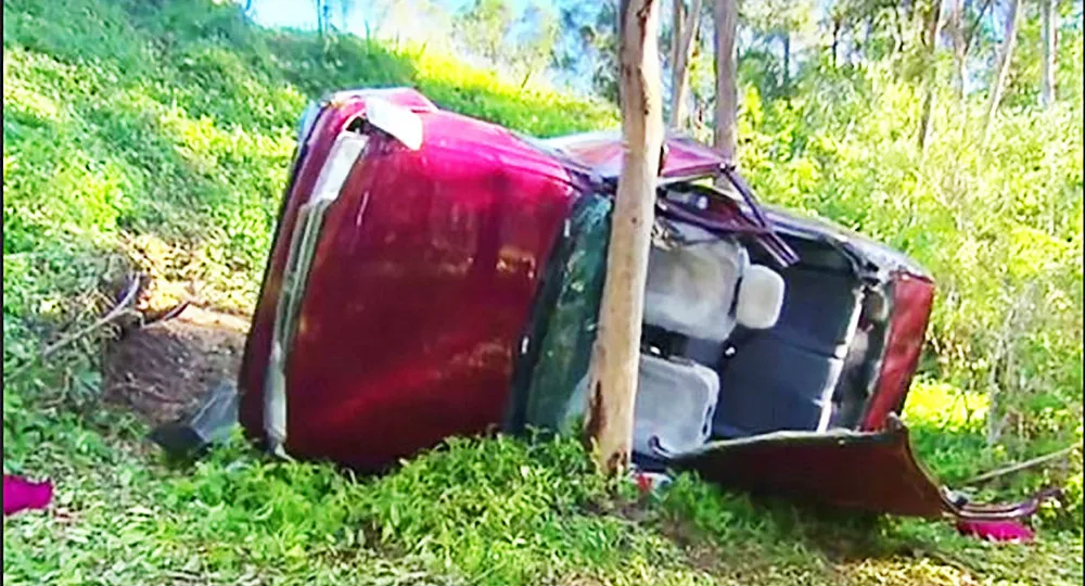 My car came to rest against a tree