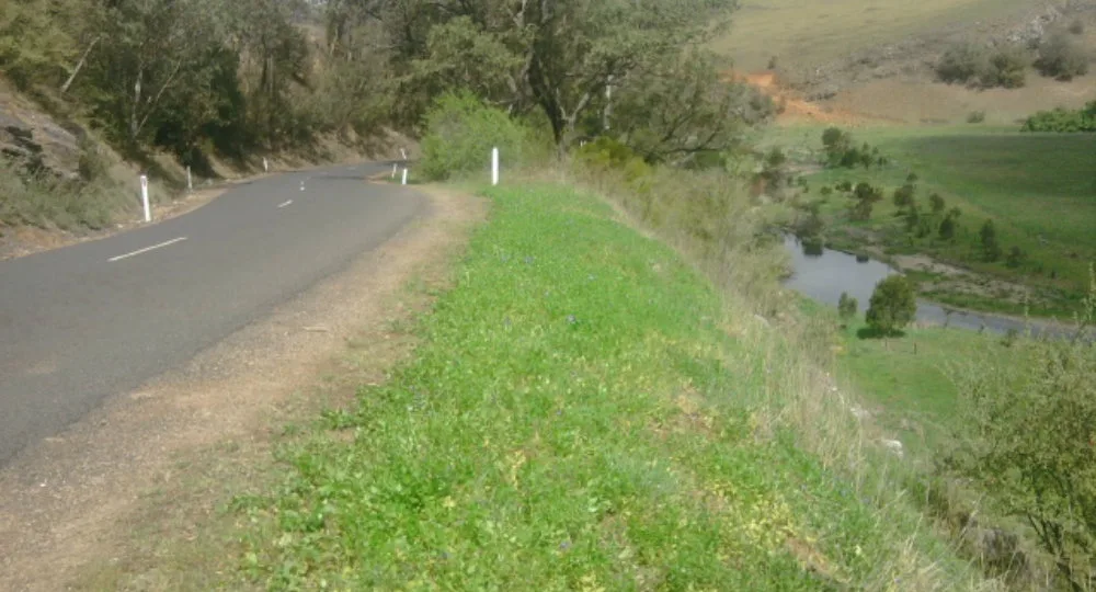 Shannon Bennett went over a cliff near Buchan Caves