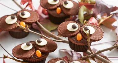 Choc owl cupcakes