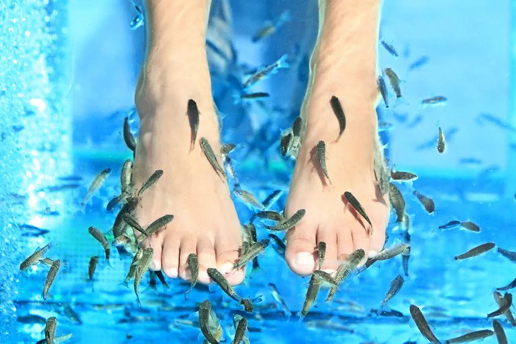 fish pedicure
