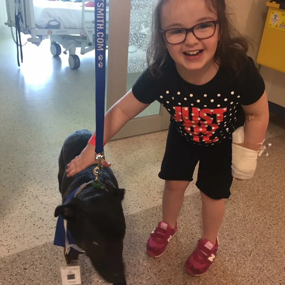 hospital therapy dog