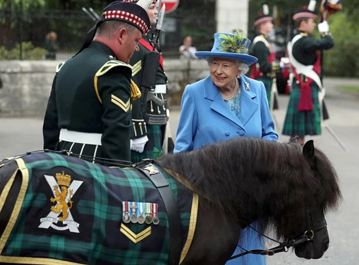 queen and pny