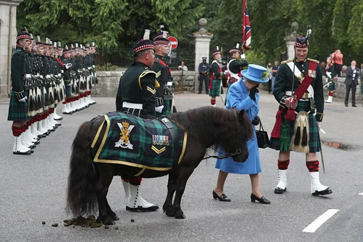 The pony let off some... steam
