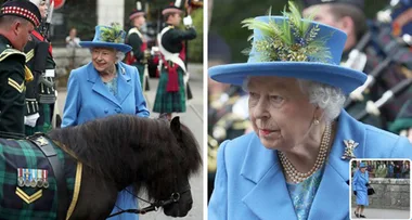 Pony POOPS in front of the Queen… and what happened next is priceless