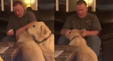 Video of dad giving ear drops to his dogs gets 17.4 million views