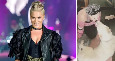 Pink mourns the loss of her beloved dog