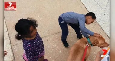 Five-year-old boy horrifically mauled by dog undergoes surgery