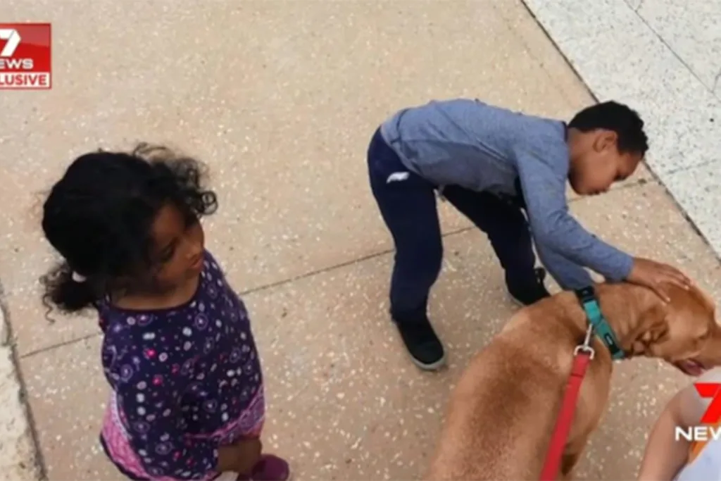 dog attack 2