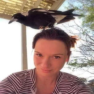 I’m a magpie whisperer