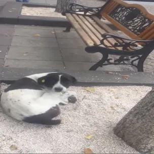 After three years, a stranger’s phone call reunited two long lost friends.