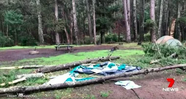 Baby girl crushed by a pine tree during family camping trip in Nanga Brook