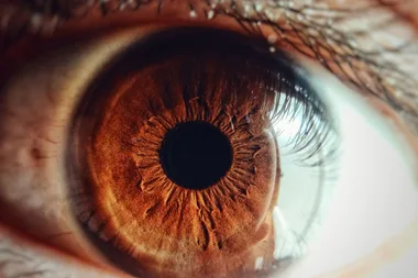 Doctors pluck ELEVEN live worms from baby’s eye