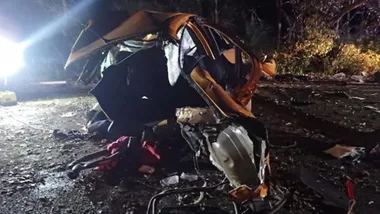 Dogs found dead at horror crash scene
