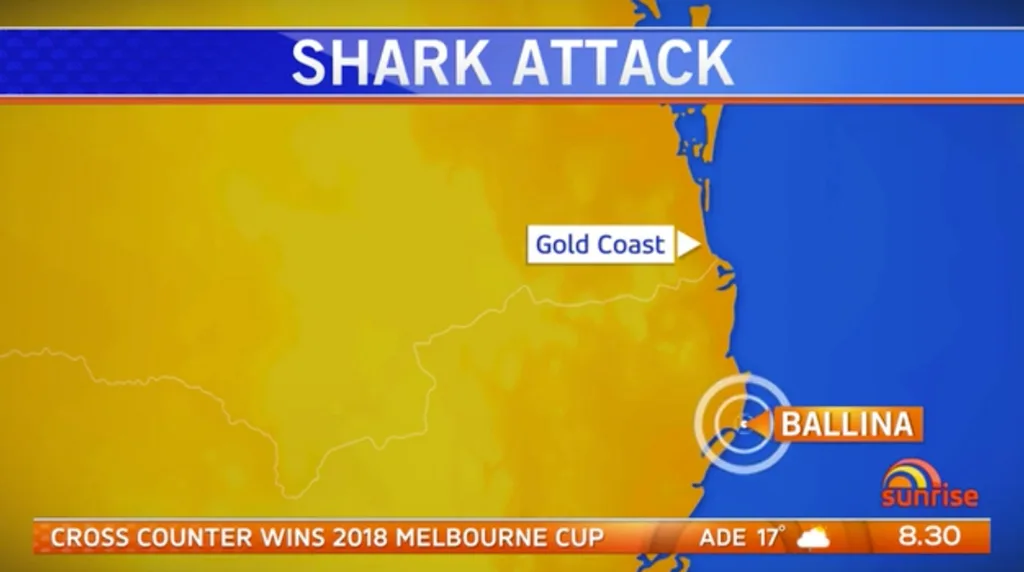 shark attack