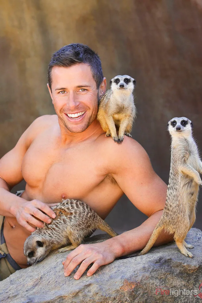 with meerkats