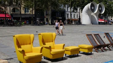 Ikea Store In Italy Gives Homeless Dogs Place to Rest