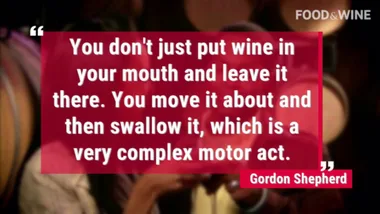Wine Tasting Engages Your Brain More Than Any Other Behaviour, Says Neuroscientist