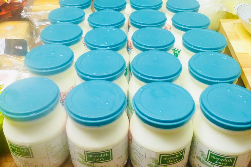 yoghurt