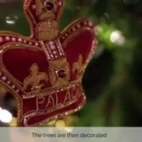 The Christmas Trees have arrived at Buckingham Palace