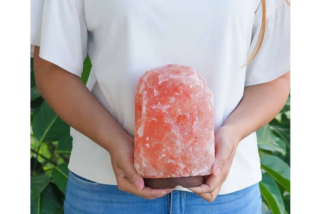 Instagram/@himalayansaltfactory