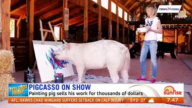 WATCH: Painting pig sells his work for thousands of dollars