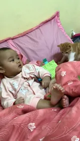 WATCH: Baby’s sneeze petrifies unsuspecting cat