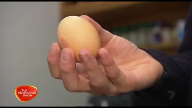 NSW eggs being recalled after salmonella contamination found