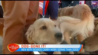 WATCH: Men with beards carry more germs in facial hair than dogs