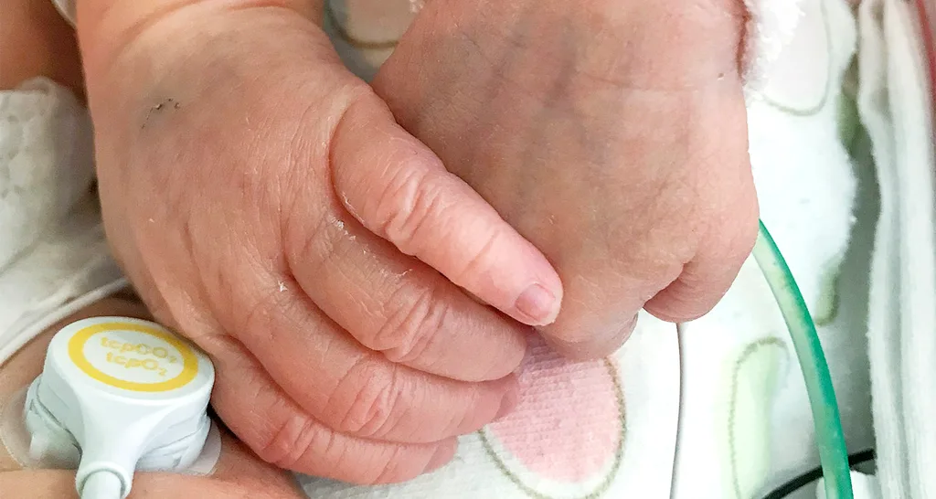 The newborn twins