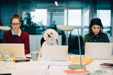Science says people over 40 shouldn’t work more than three days a week!