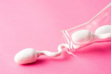 Parents desperate for grandchildren win case to use dead son’s sperm