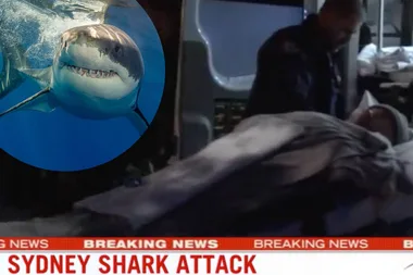 Man attacked by shark at Manly beach