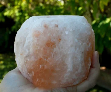 Warning after salt lamp poisons pet cat