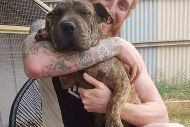 Missing dog found nearly two years later