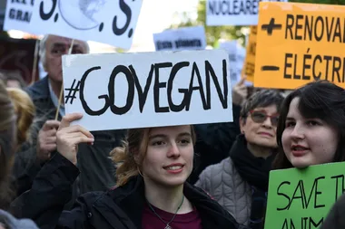 New penalties could see vegans JAILED for invading farms and abattoirs