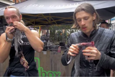 WARNING – distressing content: Anti-vegan protestors fined for eating DEAD ANIMALS at food market