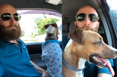 Man finds lost dog wearing pajamas