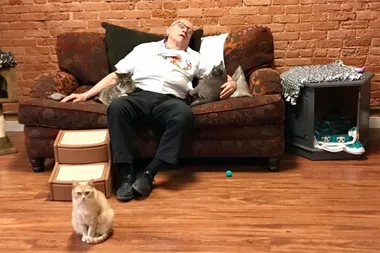 The ultimate cat napper