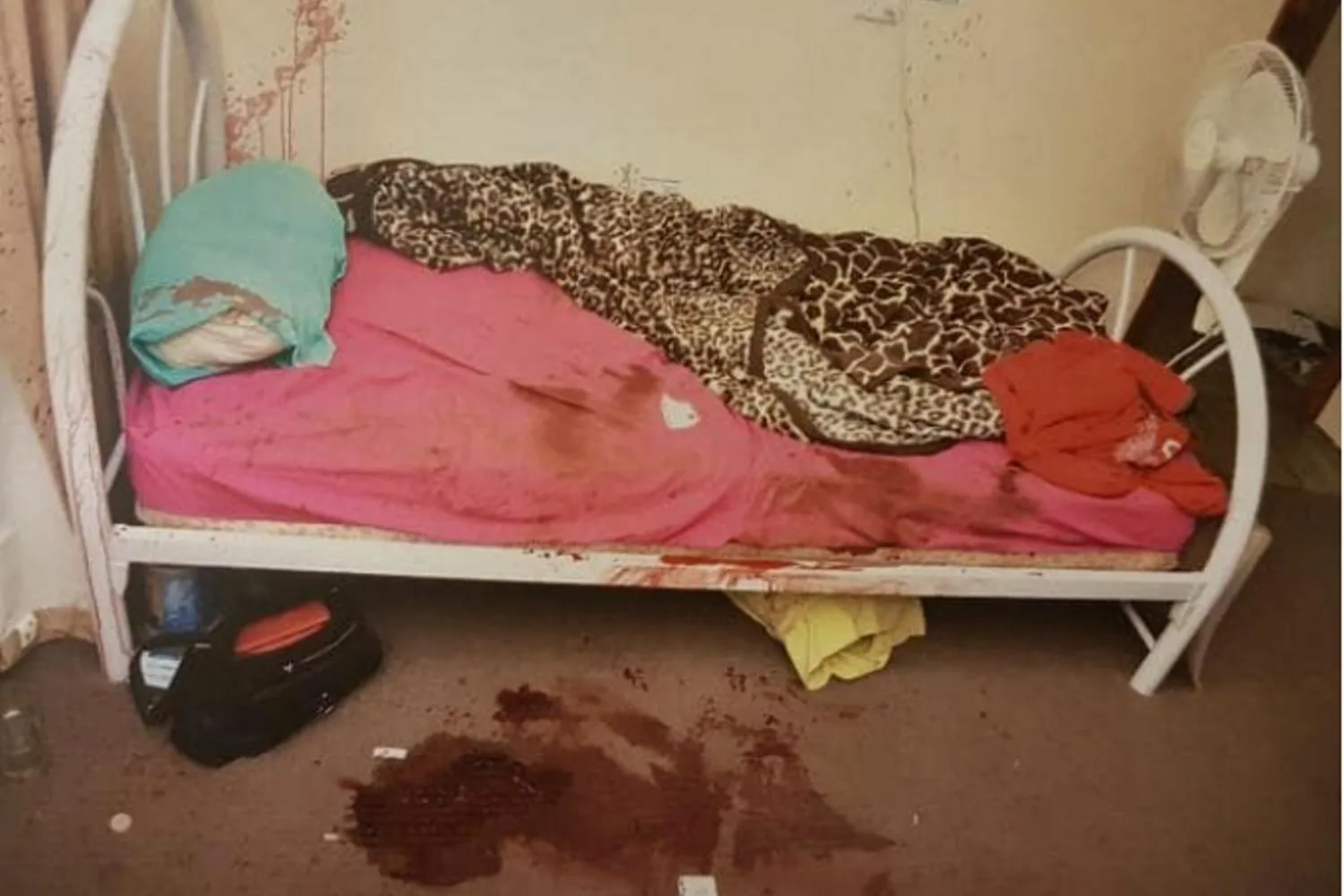 Supplied - SA Police