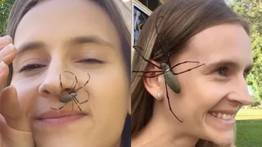 Woman lets spiders crawl on her face