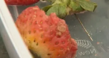 Mum rushed to hospital after eating strawberry with NEEDLE inside
