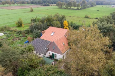 Son escapes after he and his siblings lived in cellar for nine years