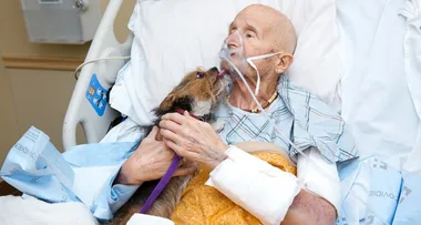Dying war veteran gets final wish to see his beloved pup
