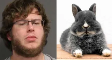 Man ‘chopped off rabbit’s legs with pair of scissors’